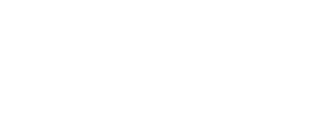 Bahn-Initiative